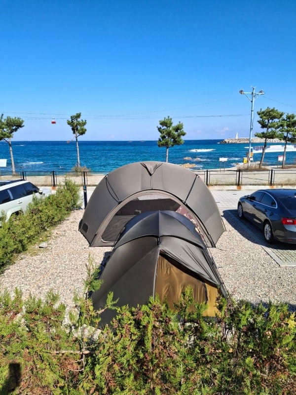 삼척 장호비치 캠핑장 D구역 명당 리뷰