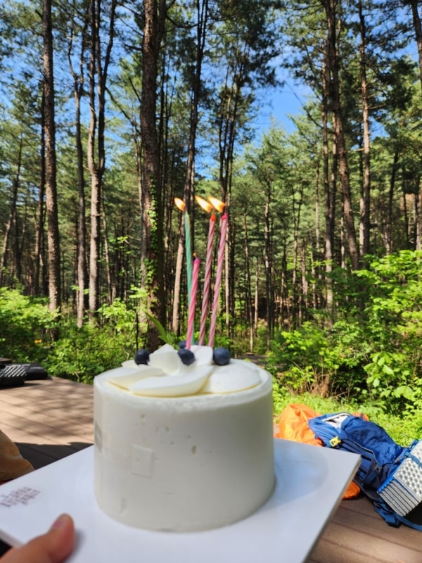 가평 호명산잣나무숲속캠핑장 백패킹 생일파티