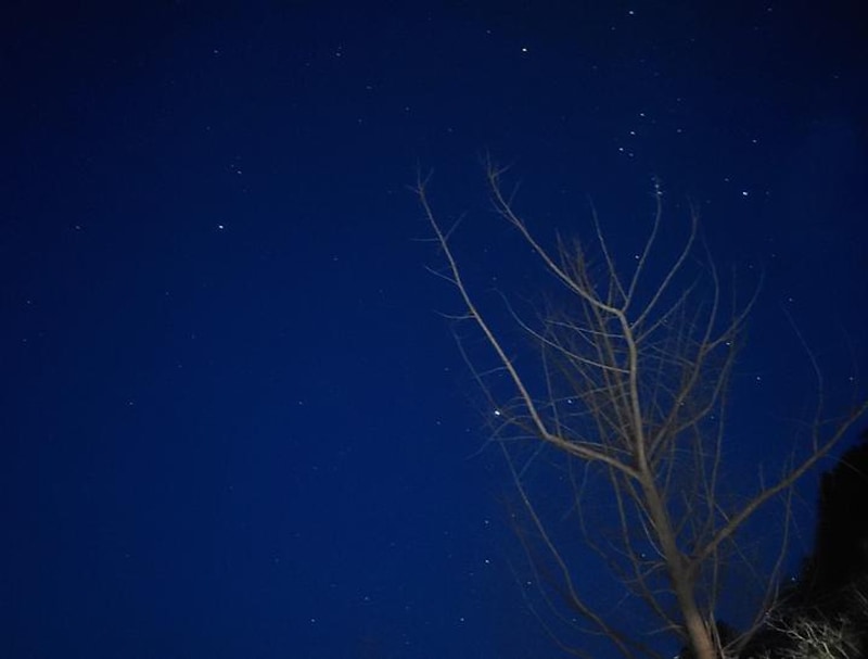 물가솔솔캠핑장 대표 사진