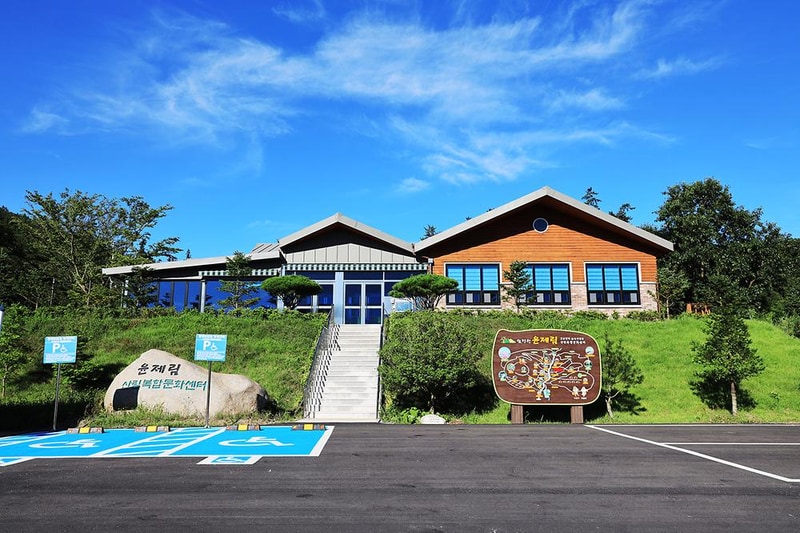 윤제림오토캠핑장 시설 사진 6