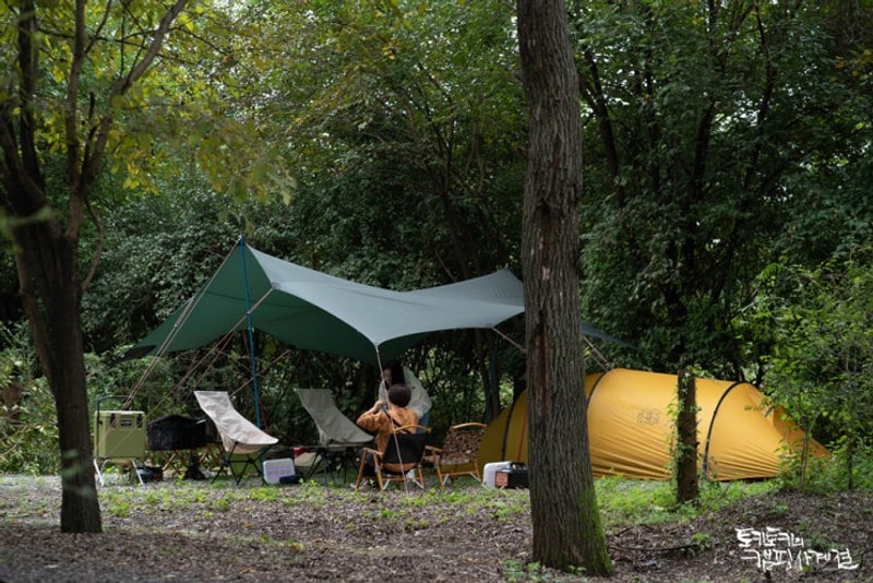연천 평화강변수목캠핑장