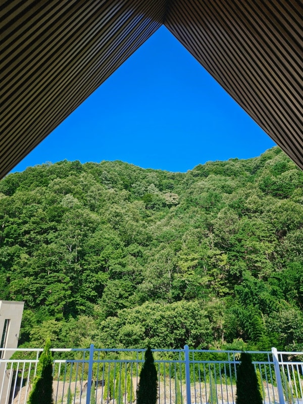 산청 앤더포레 글램핑 솔직후기(내돈내산)