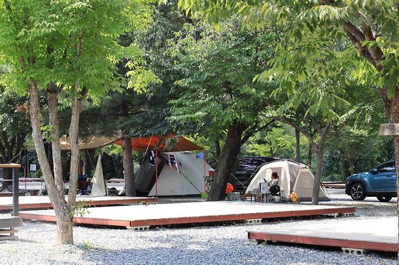 뉴힐링캠프 대표 사진