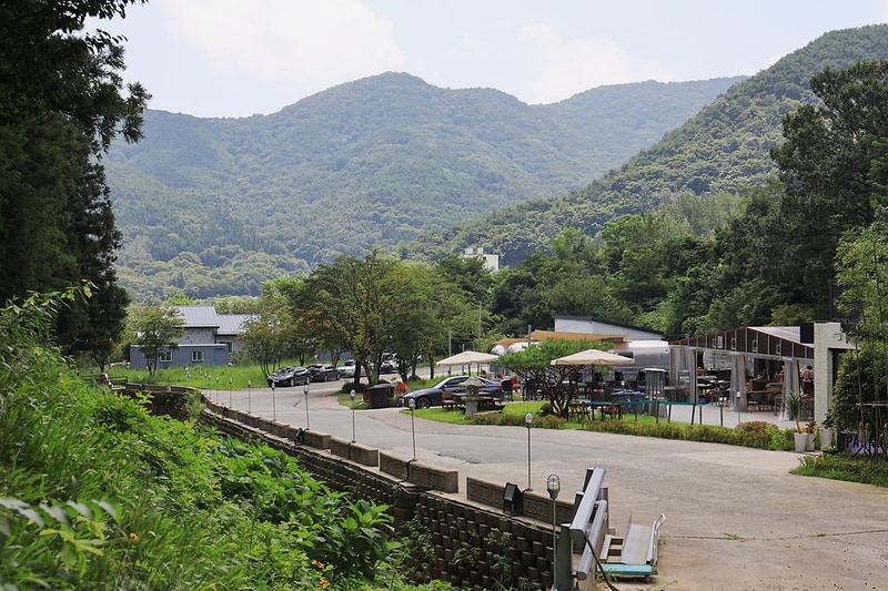 선인장 시설 사진 15