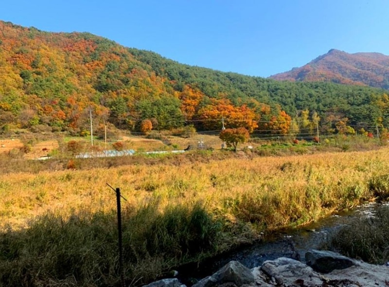 파인트리캠핑장 시설 사진 65