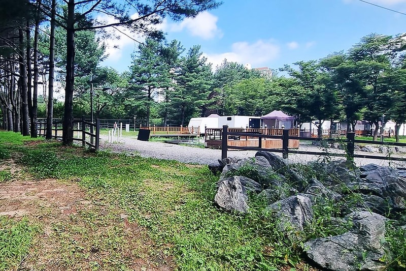 수원 솔내음 캠핑장 시설 사진 1