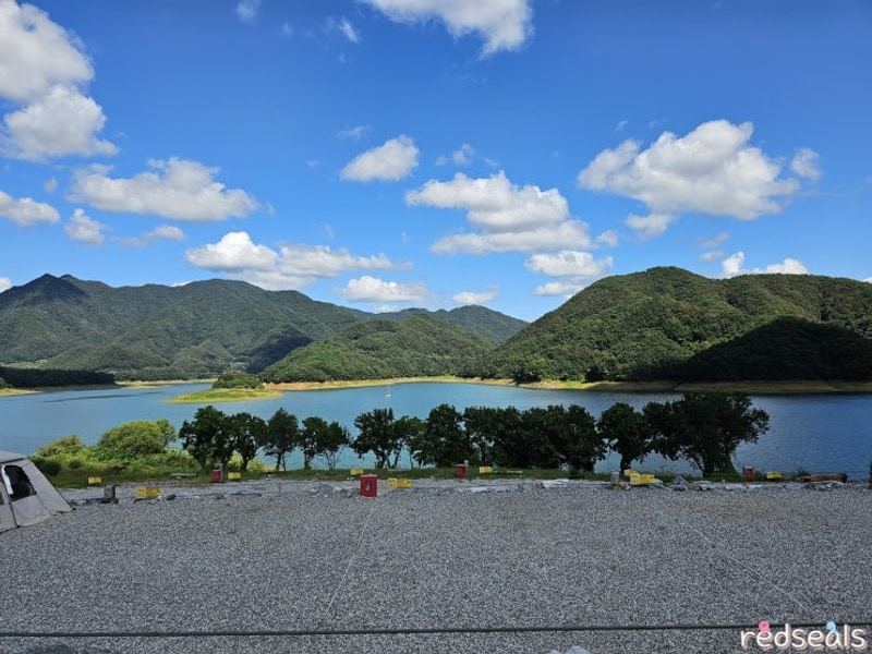 [충주 캠핑] 충주 캠핑808 C5 사이트 2박 후기