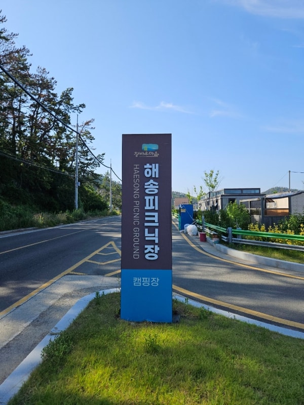 (포항) 창바우마을 해송피크닉장/ 창바우 오토캠핑장