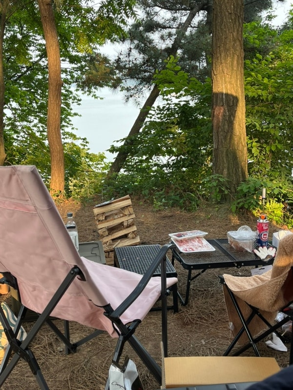 [️] 태안 청산리오토캠핑장 다녀왔어용~!