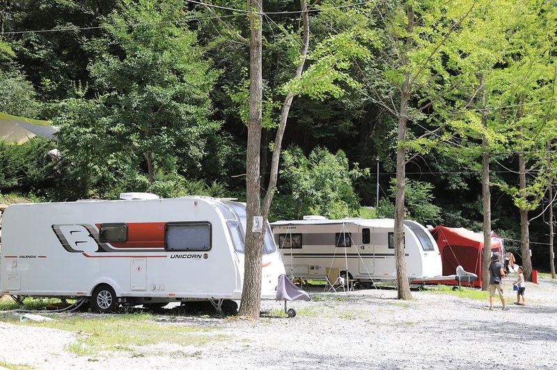 피노키오 자연휴양림 야영장 시설 사진 4