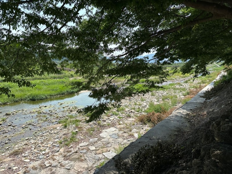 밀양 아이랑 계곡 아이비오토캠핑장