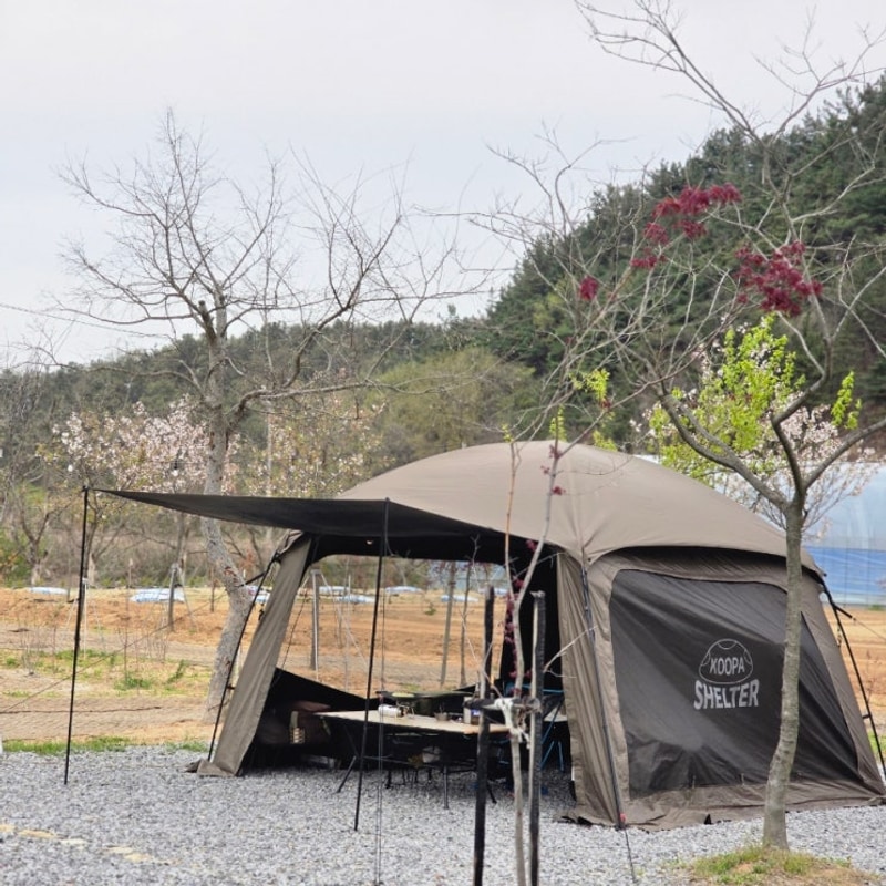 전주친구들과도 함께 ❣️ #김제모꼬지캠핑장