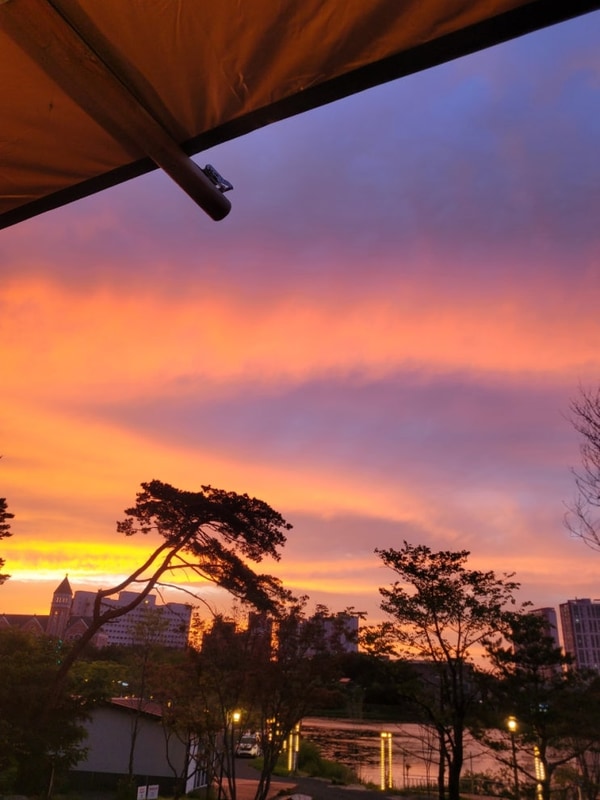 [강원/고성] 봉포 레이크 글램핑 오토캠핑장_머물 만한 곳