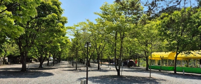 영월캠핑장 평일 전세캠 분위기 가득한 자연 힐링 명소 법흥캠...