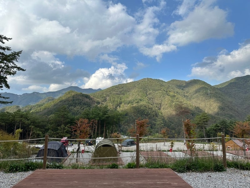 [영월]필리가캠핑가서 별 잔뜩보고오기~