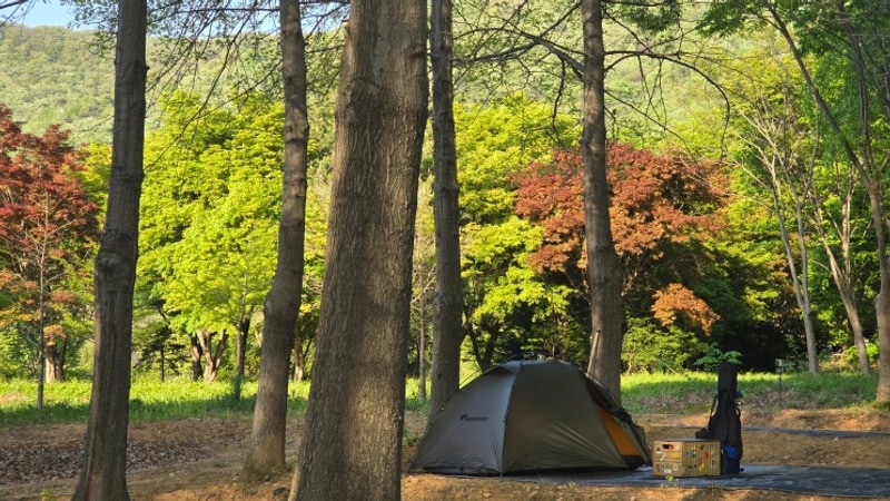 논산 나그네캠핑장