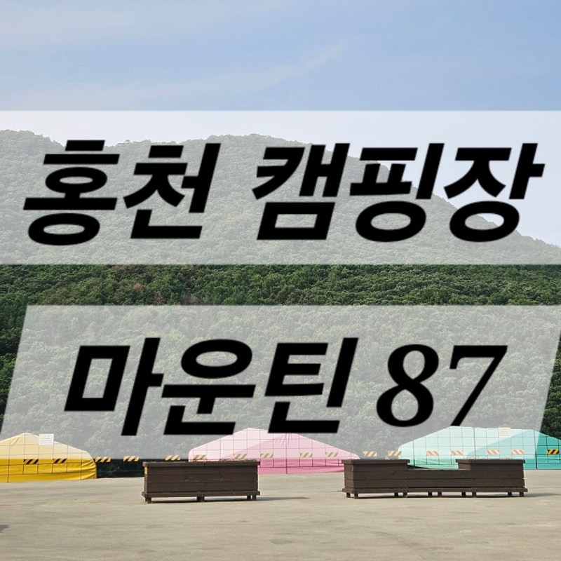 [홍천캠핑장/마운틴87] 타프 있는 캠핑장 : 타프존/뷰맛집/명당...