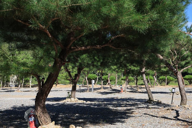 사발소캠핑장 시설 사진 1