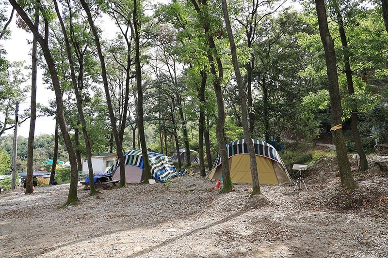 뮤즈캠핑장 시설 사진 3