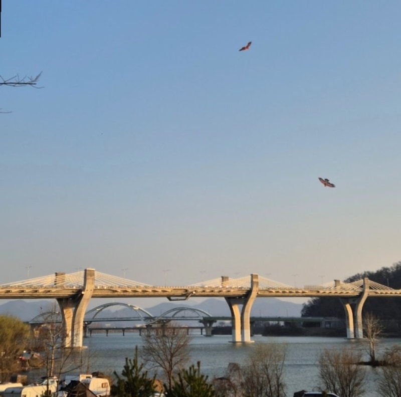 20250322 남한강뷰와 야경이 멋진 충주 하비비캠핑장...