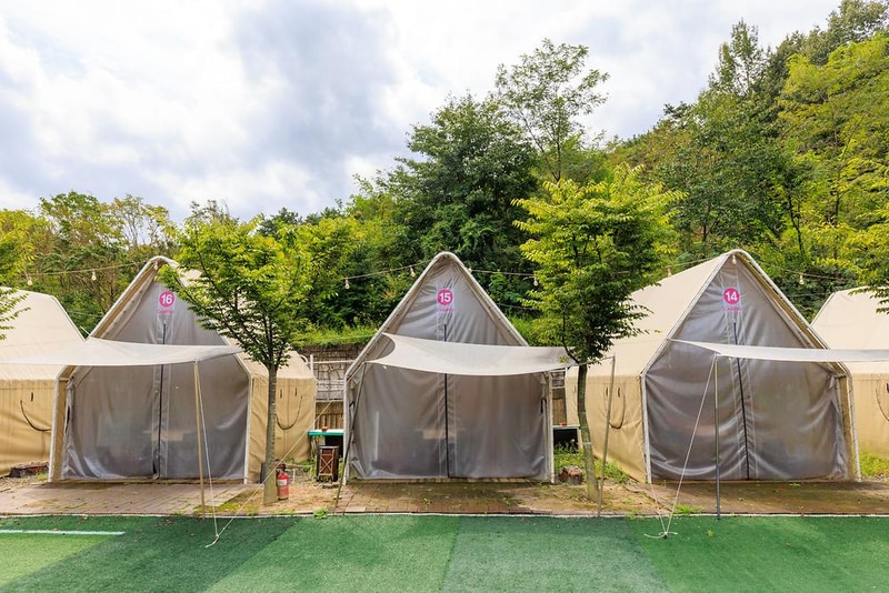 Little 80 시설 사진 9