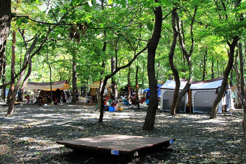 성주산 자연휴양림 시설 사진 7