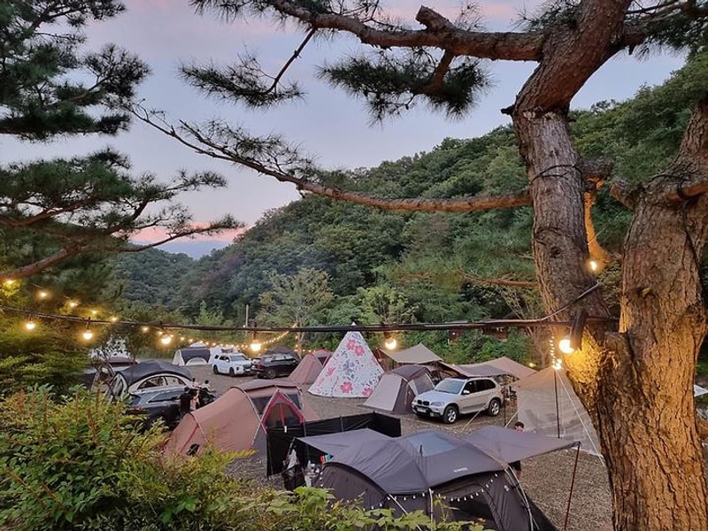 라라캠핑장 대표 사진