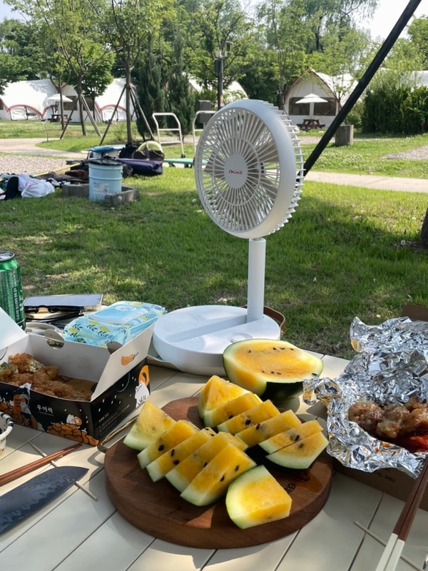 캠핑의 계절ㅣ청도 브리즈힐캠핑앤카라반ㅣ한강공원 난지캠핑장