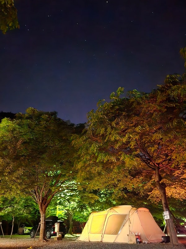 [경북 문경] 숲이조아 오토캠핑장 (아이들과 함께 즐길 수 있는)