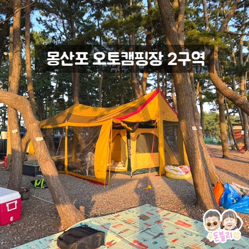 태안 몽산포 오토캠핑장 2구역 그늘진 사이트 추천