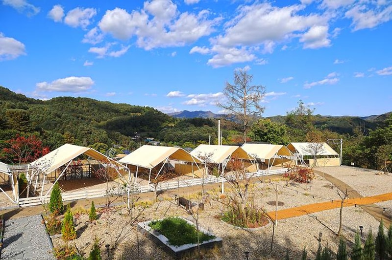 나아정 대표 사진