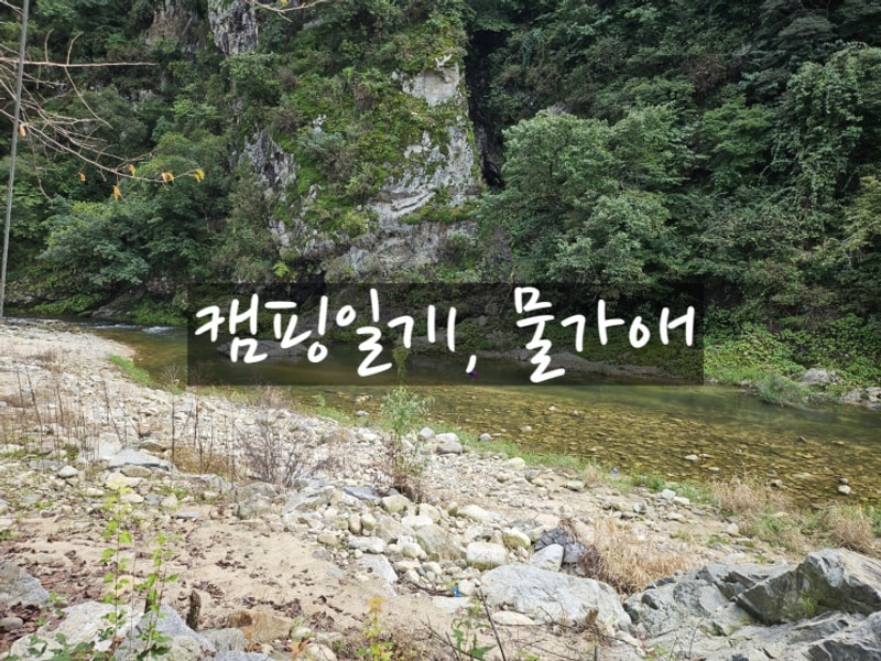 1번째 캠핑, 원주 물가애캠핑장