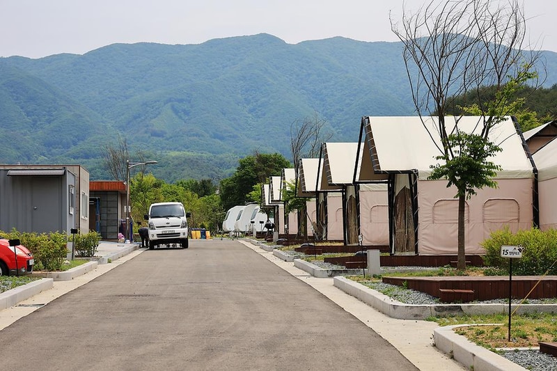 곰취향 가득한 팔랑골 캠핑장 시설 사진 15