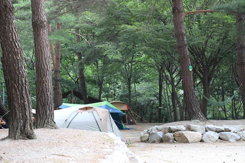 폭포 캠핑 야영장 대표 사진