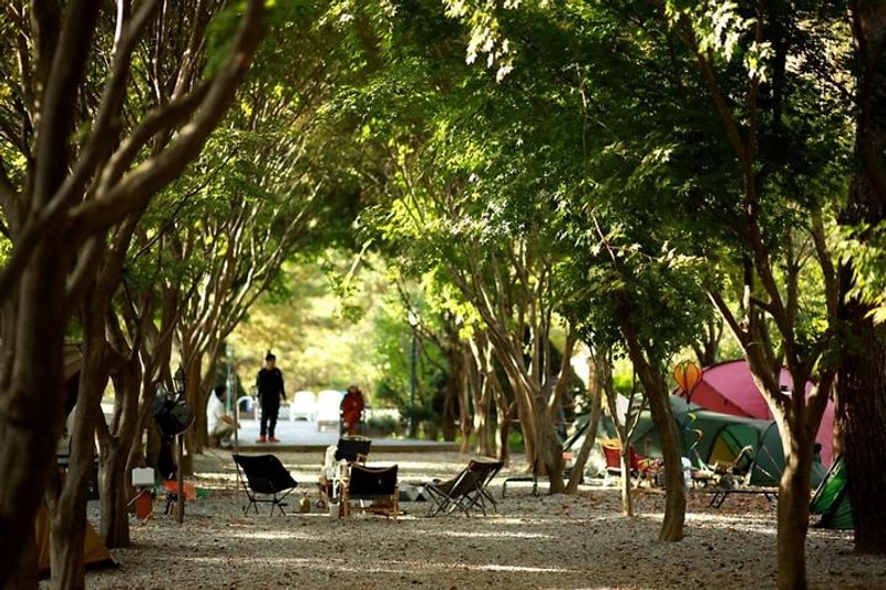 두레캠핑장 대표 사진