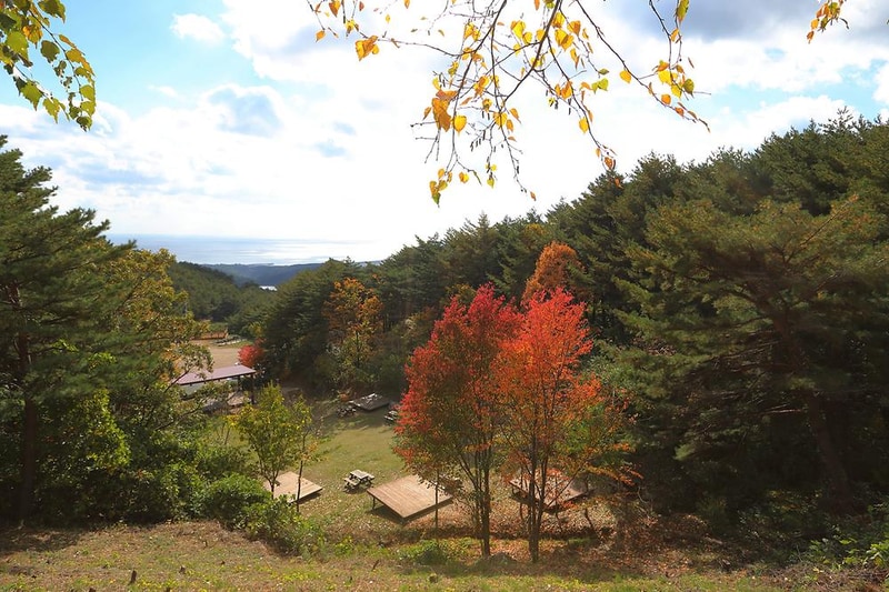 국립자연휴양림관리소 칠보산 자연휴양림 시설 사진 13