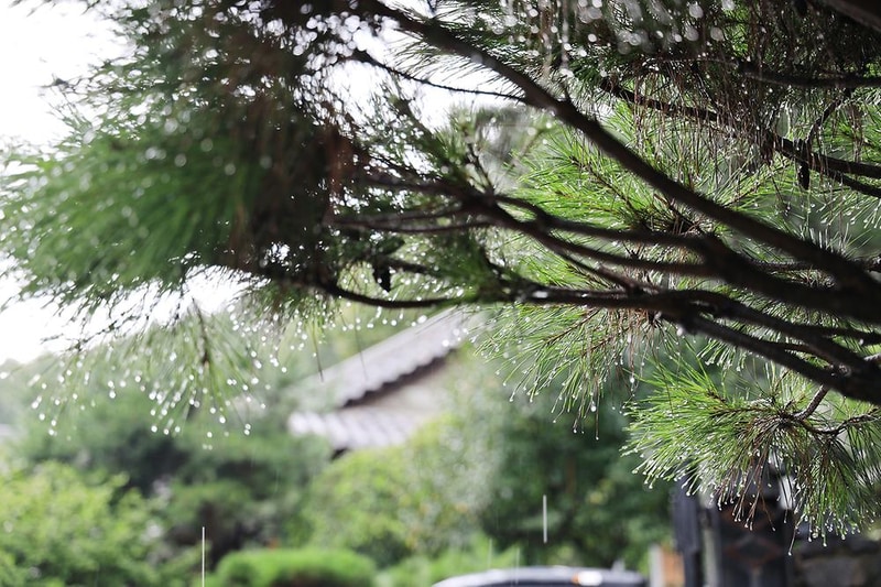 용인 자연숲 캠핑장 시설 사진 17