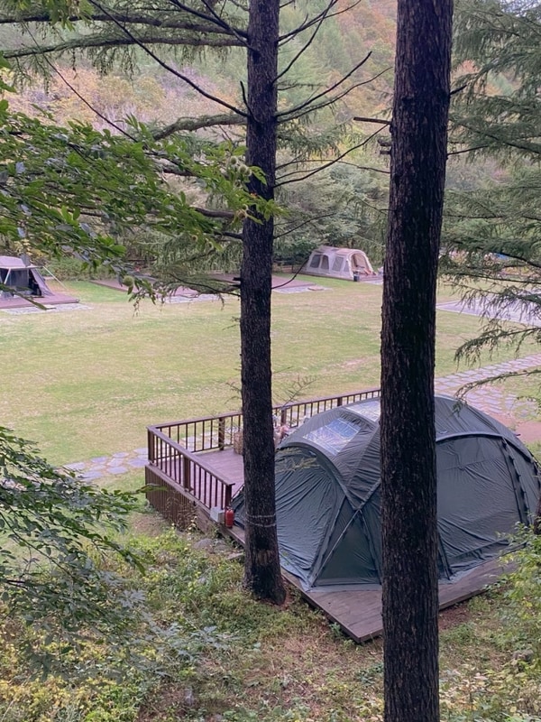 [ 평창 ] 초보캠퍼의 캠핑계 신라호텔 휘게포레스트 방문...