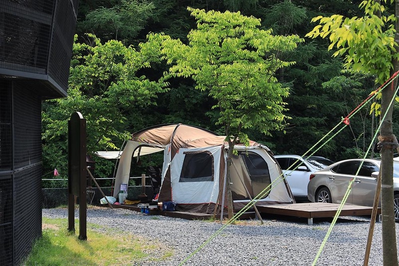 펫힐링 달빛동물원 캠핑장 시설 사진 23