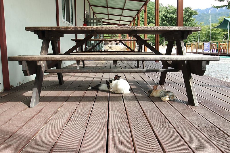 속리산 사계절 캠핑장 시설 사진 21