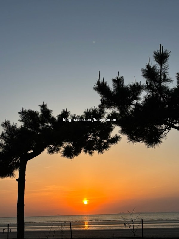 아이들과 다녀온 노을 맛집 서천 춘장대 오토 캠핑장