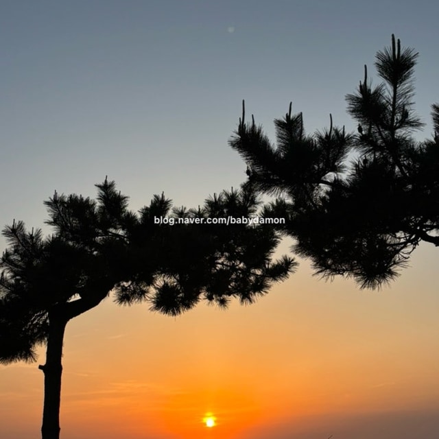 춘장대오토캠핑장 대표 사진