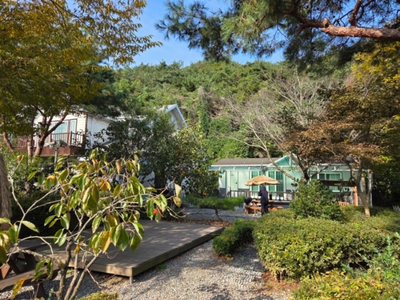 푸른섬 캠핑장 (생애 첫 캠핑) 다녀온 후기