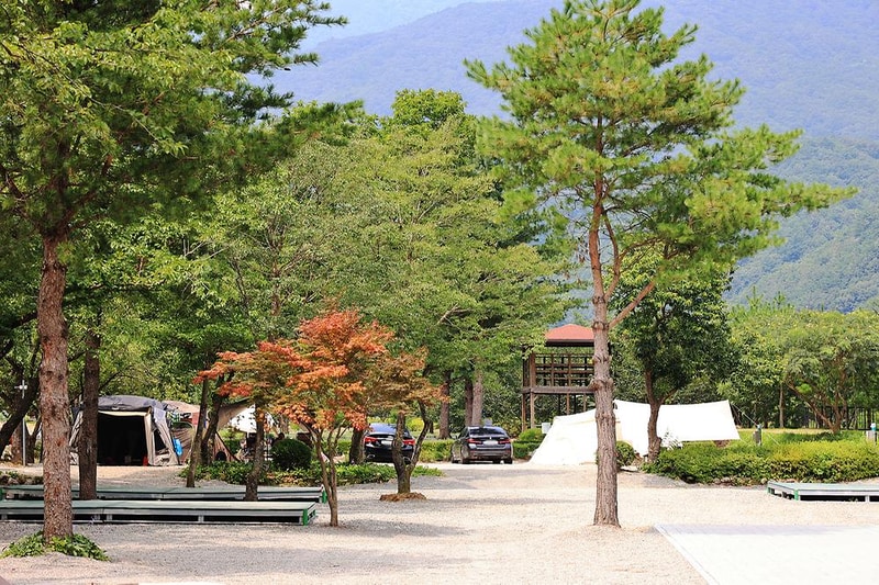 오색허브농원 캠핑장 시설 사진 9