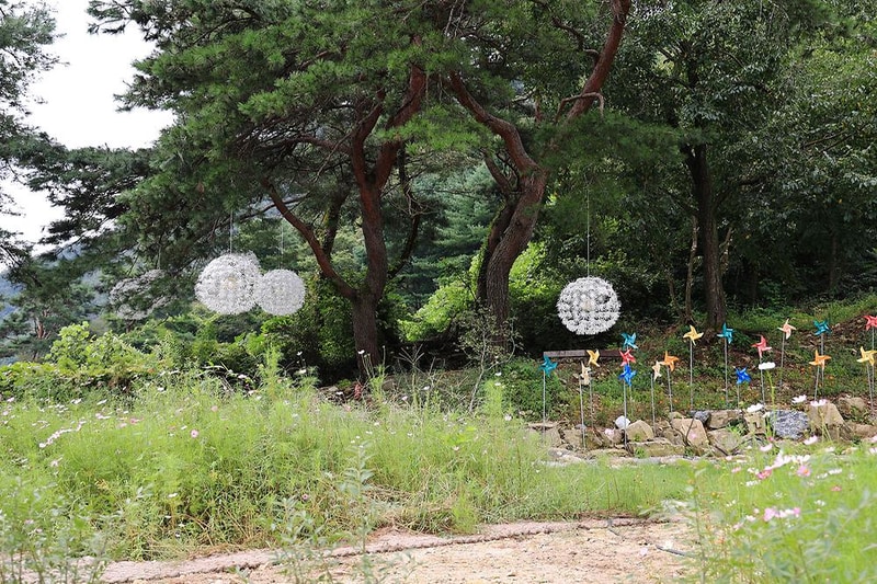 숲 나들이 야영장 시설 사진 14