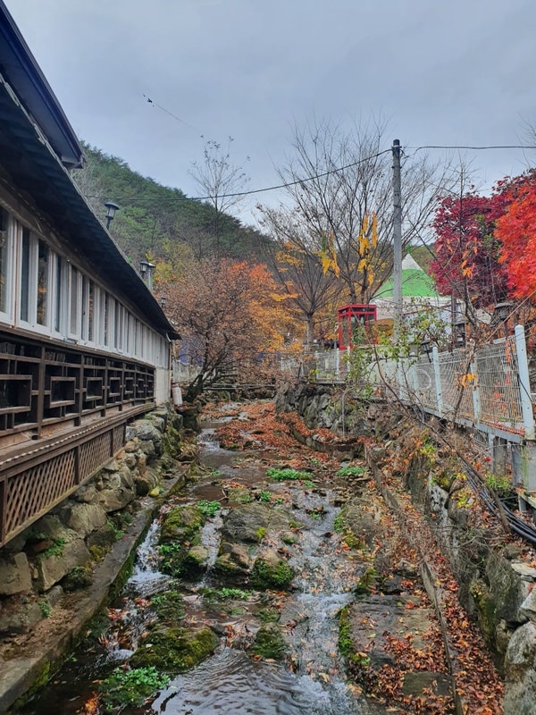 [강원도 캠핑] 전기구이 통닭이 있는 영월 천문대캠핑장