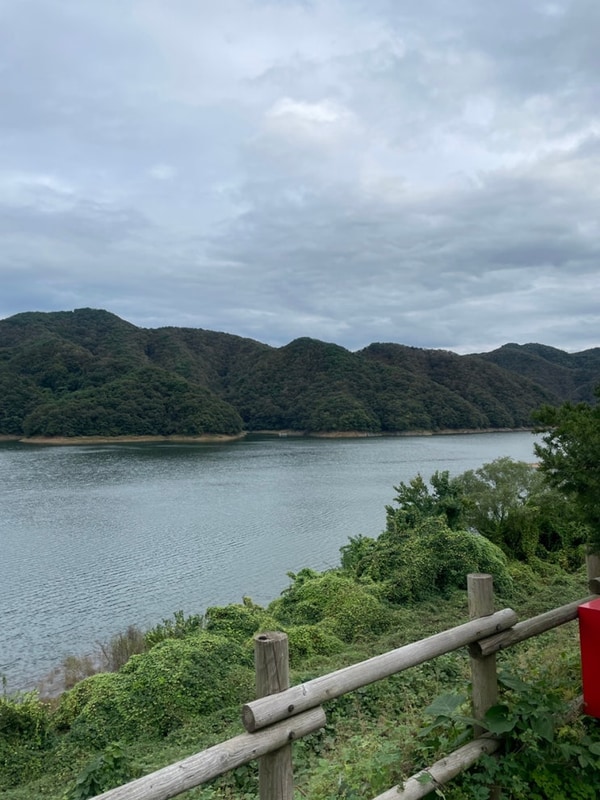 충주 캠핑 808 i-8 사이트 후기, 호수뷰 감성 캠핑의 끝판왕