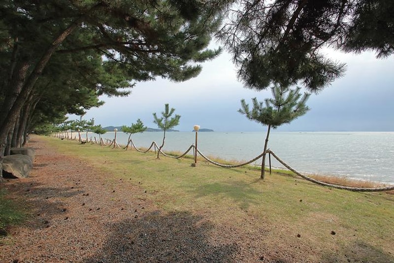 해오름 관광농원 대표 사진