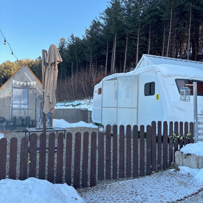 ㅣ캠핑장추천ㅣ횡성 애견동반 카라반캠핑장 “ 보리캠핑장...