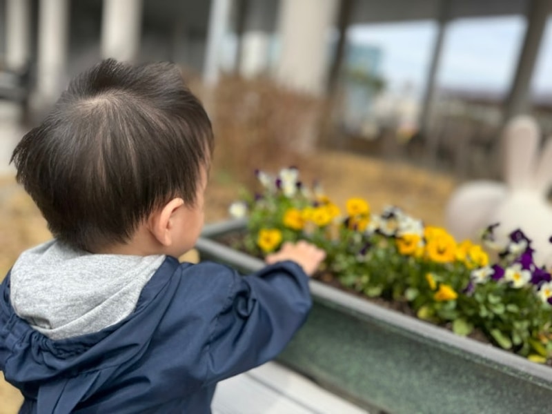 돌잔치, 카라반 즐거운녀석들, 유아식, 남대문 유아복 쇼핑